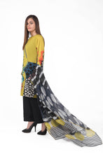 Load image into Gallery viewer, Unchained Dupatta
